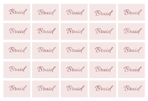 25 stuks | 5x8cm Naamkaartjes